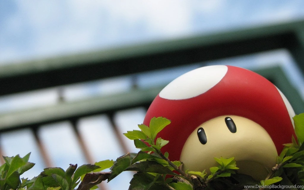 Wallpapers Gaming Mario Epic 1280x800