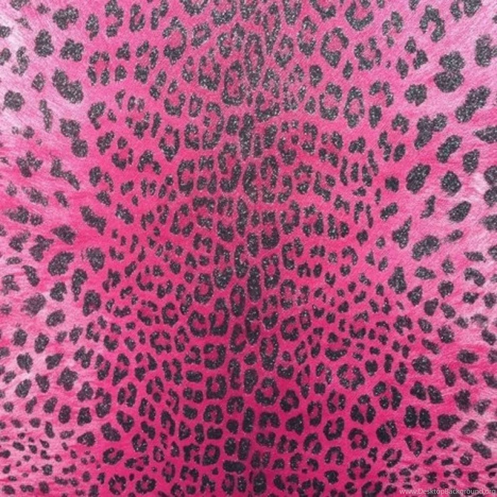 Cheetah My Blog