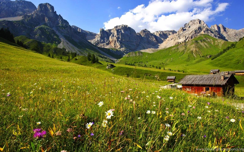 MOUNTAIN CABIN WALLPAPER (