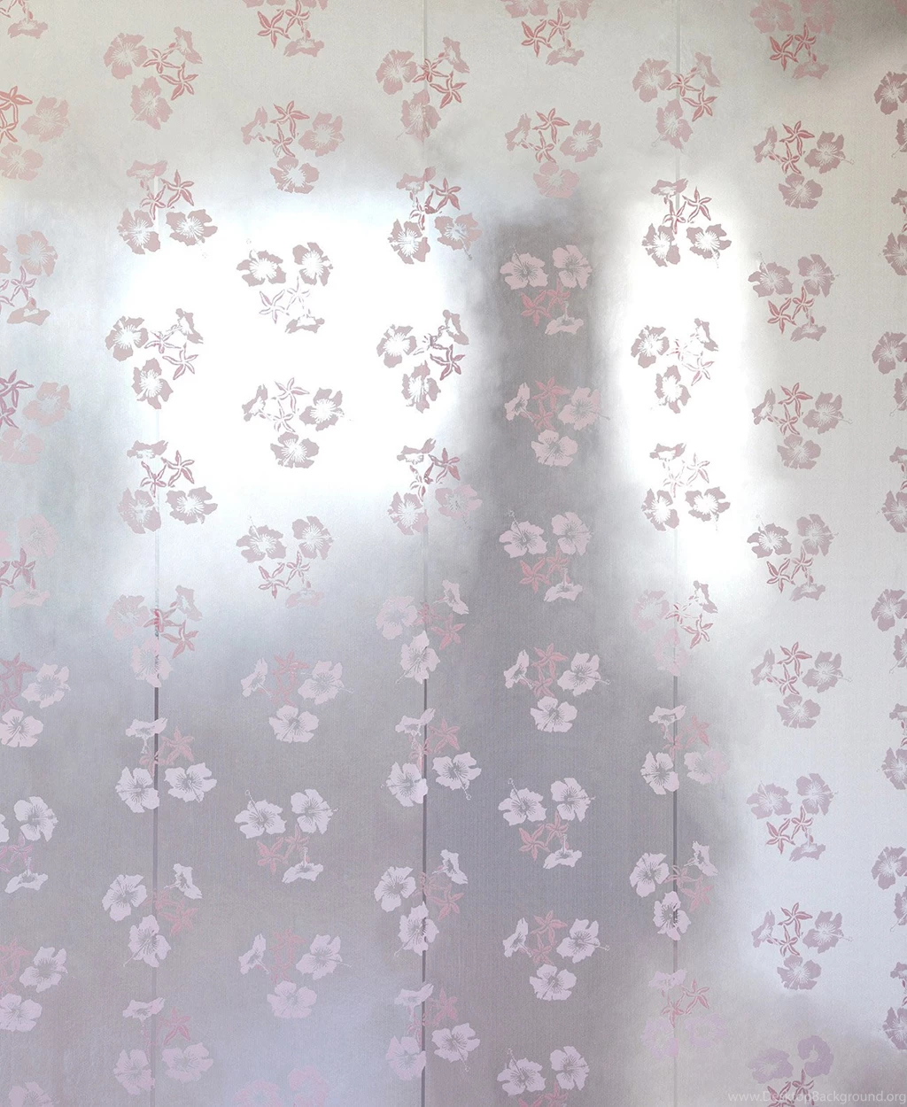 Erica Wakerly Hibiscus Pink Silver Wallpapers