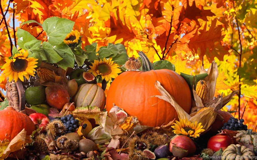 Desktop Backgrounds Thanksgiving HD Wallpapers Desktop Wallpapers ...