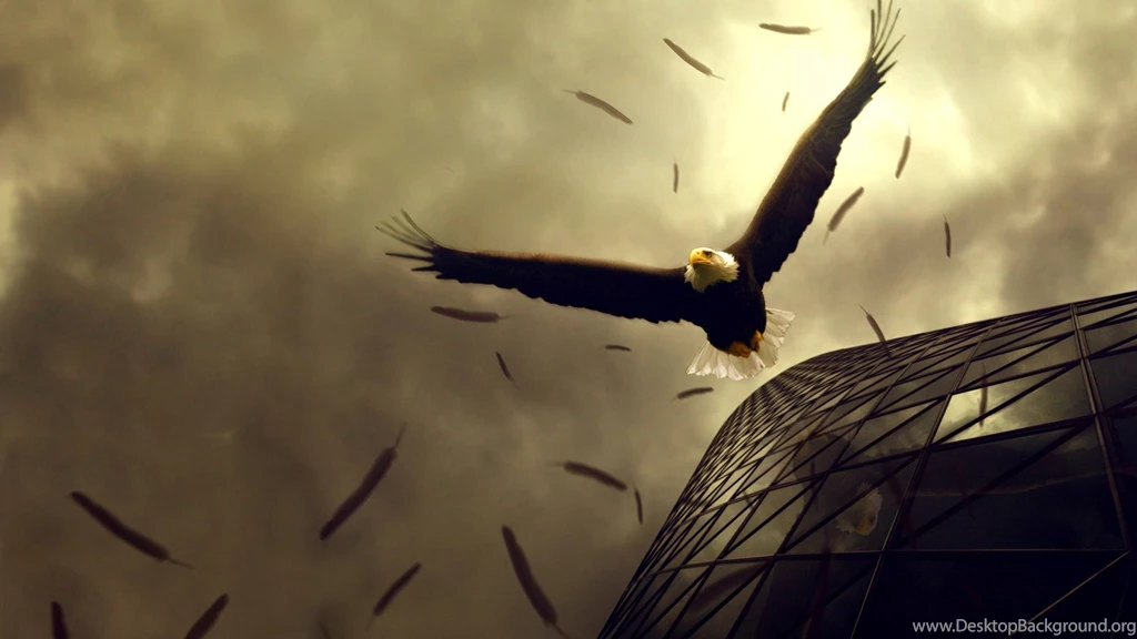 Bird Of Prey Desktop Wallpapers ~ Toptenpack.com