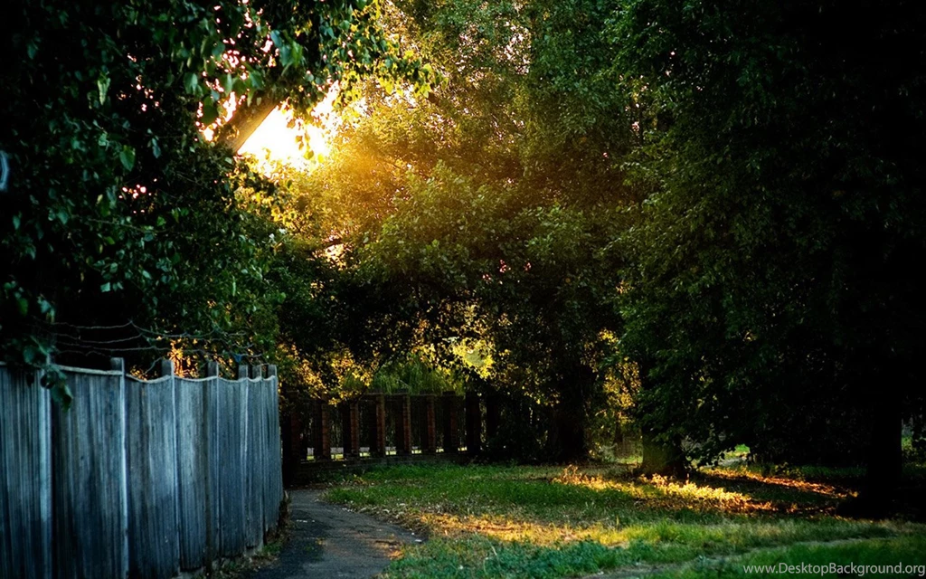 Most Beautiful Wallpapers   All Wallpapers New