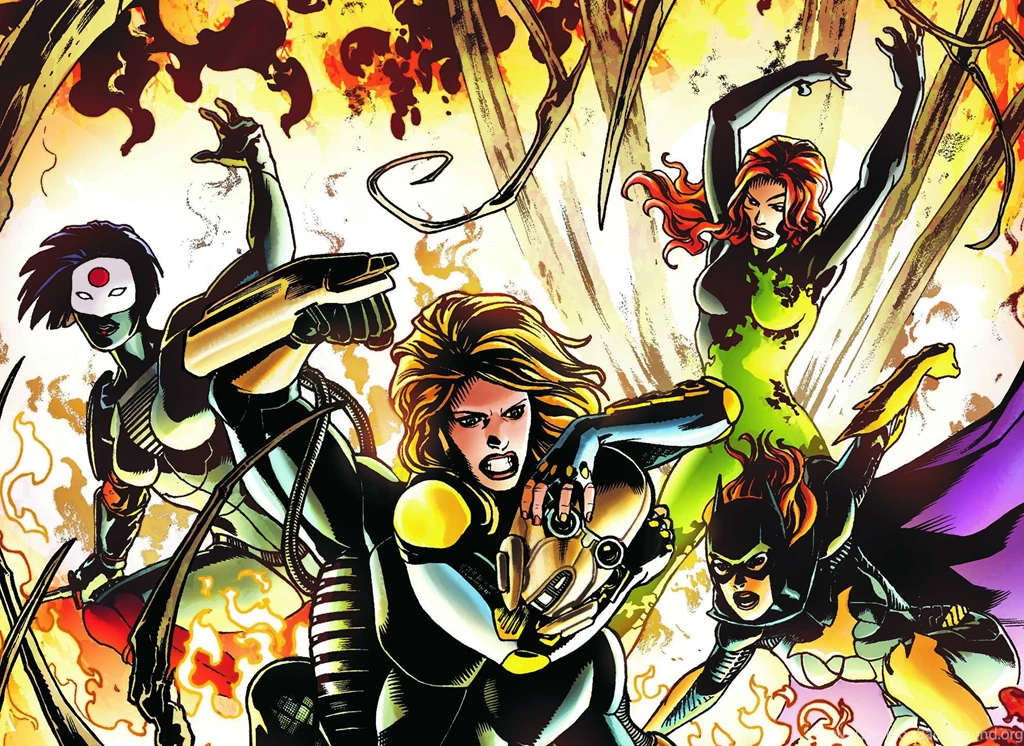 Birds Of Prey Dc comics Birds of prey Superhero D c Girl Women Jo ...