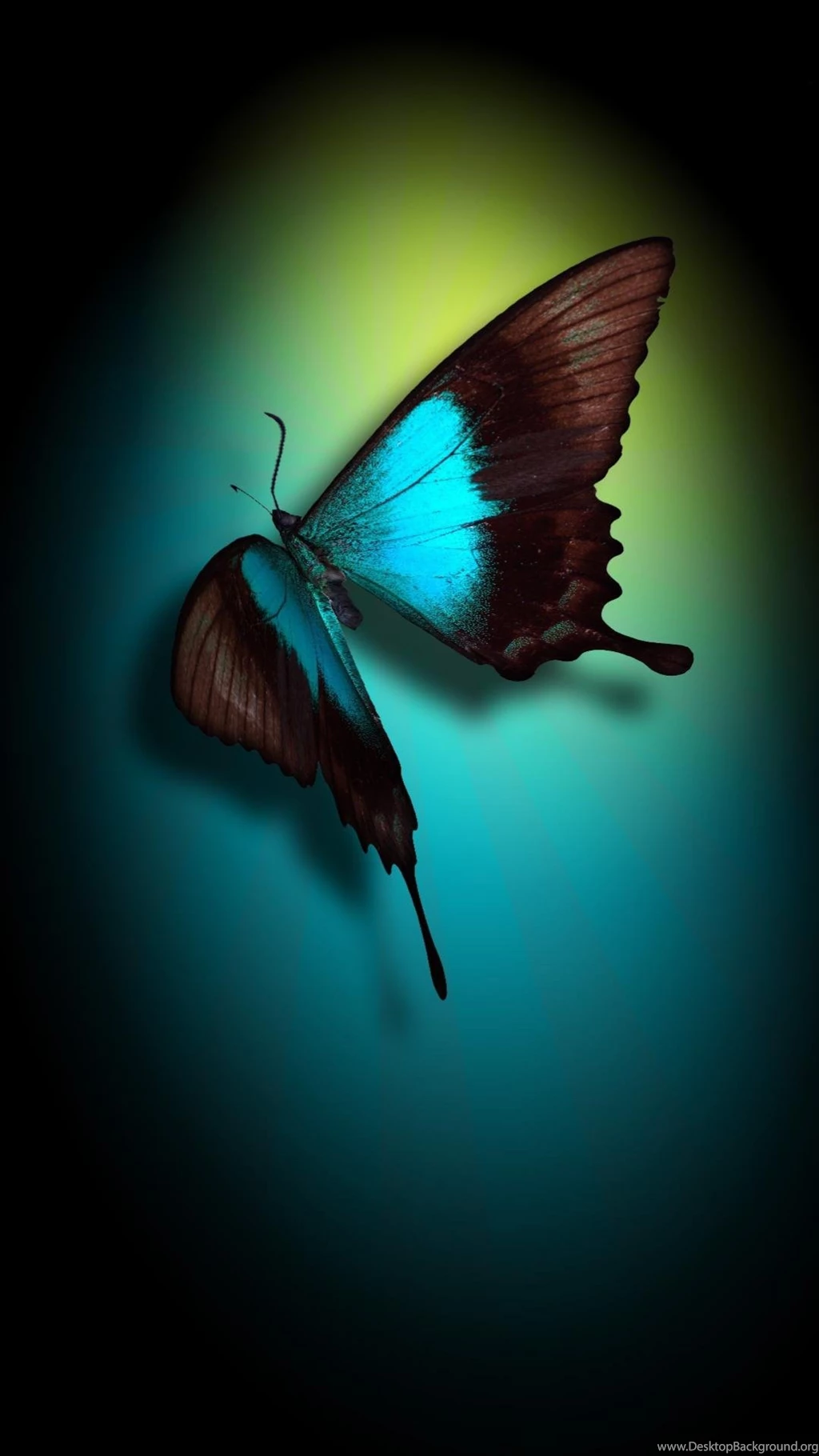 Top Make Own Wallpapers For Phone Wallpapers