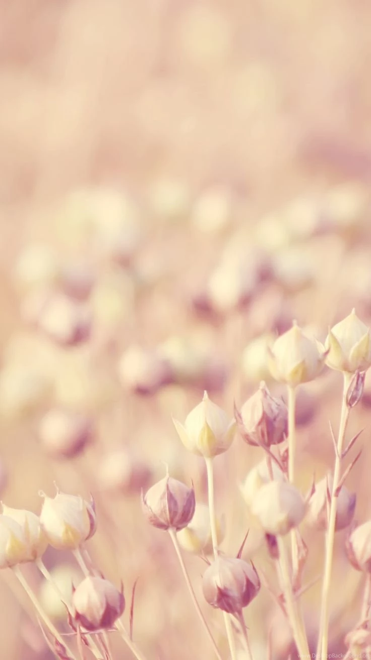 Samsung Galaxy S6 Wallpapers On Pinterest