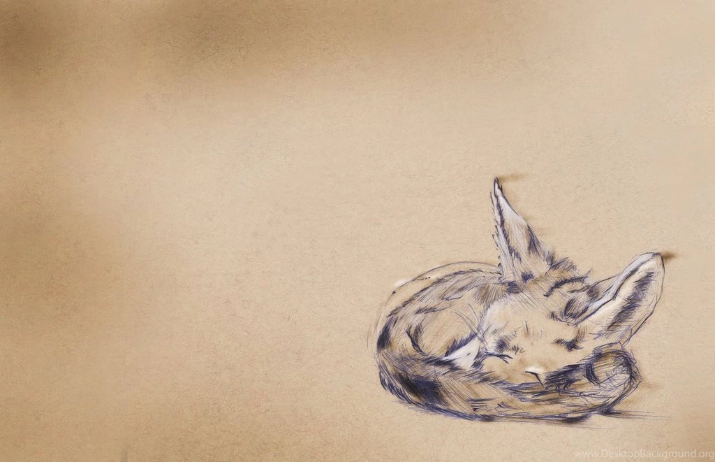 Fennec Fox By MyNameIsKurt On DeviantArt