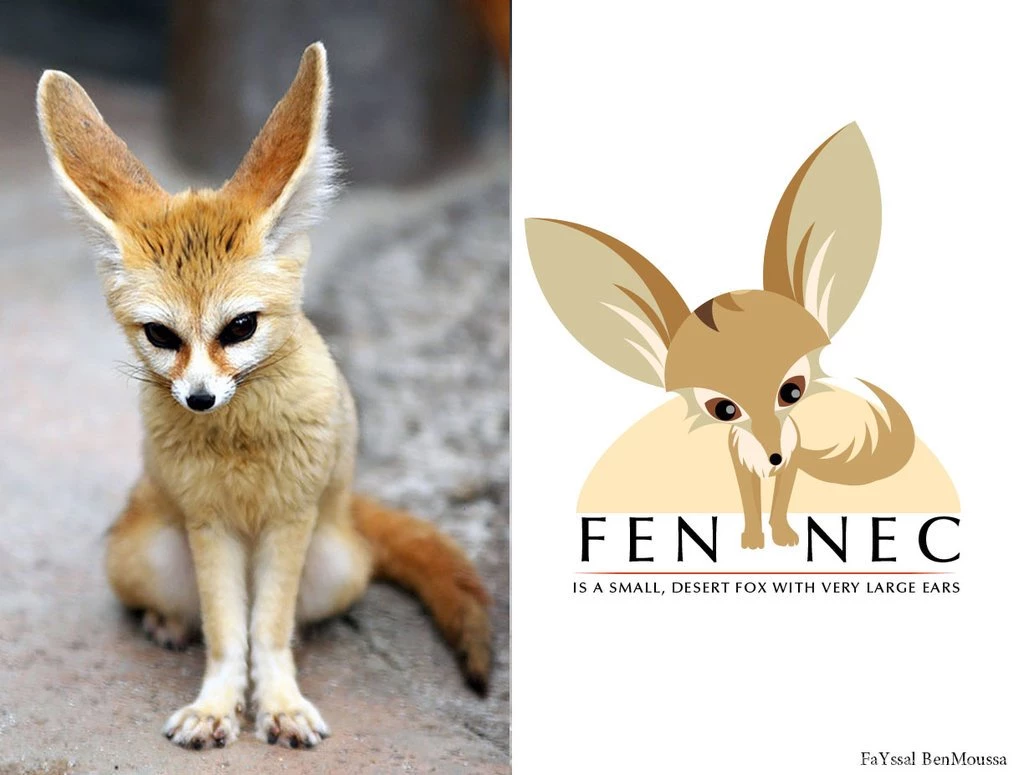 Logo Fennec Fox Concept By FayssalArt On DeviantArt