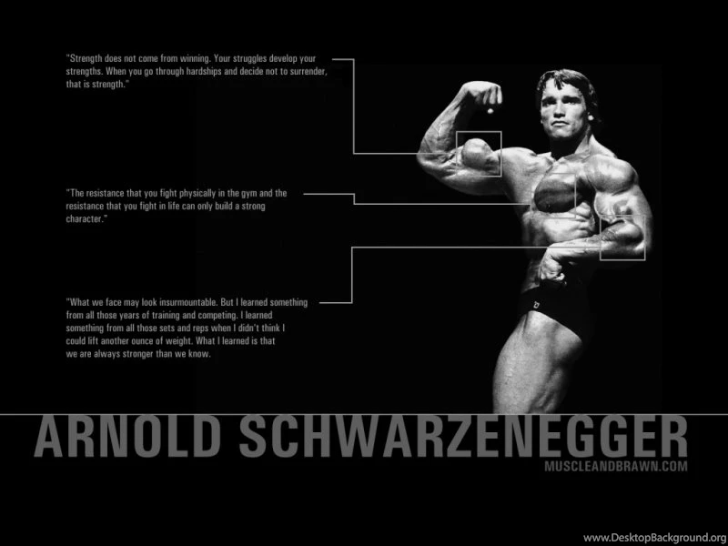 Wallpapers Bodybuilding Muscle And Brawn Powerlifting Building ...