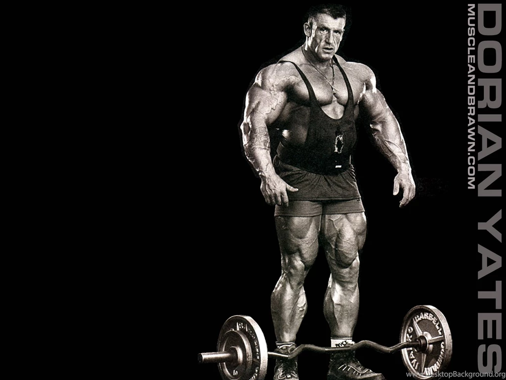 Dorian Yates Wallpaper, Set 3 Muscle And Brawn