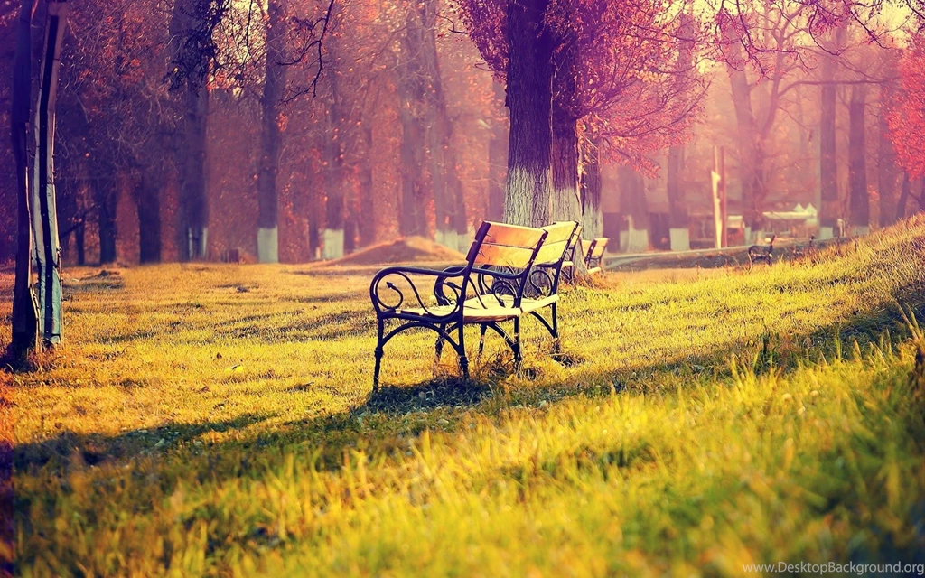 Tumblr Wallpapers Dcf   HD Wallpapers