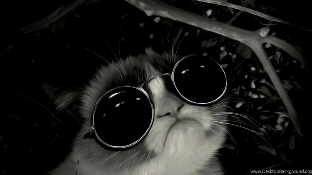 Cool Cat Tumblr Desktop Background