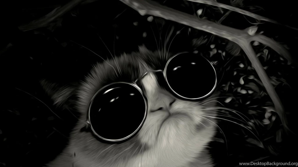 Cool Cat Tumblr