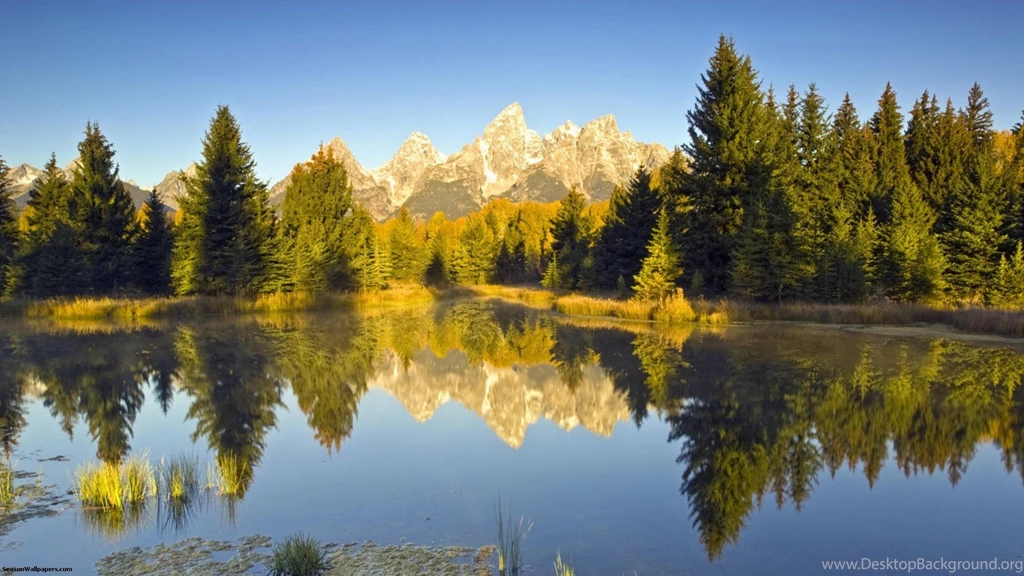 Wallpapers 1920x1080 Rocky Mountains And Pine Forest Reflected In ...