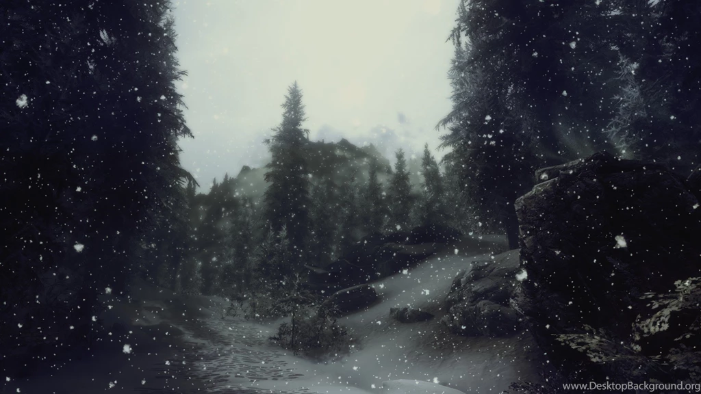 Snowy Pine Forest : Wallpapers