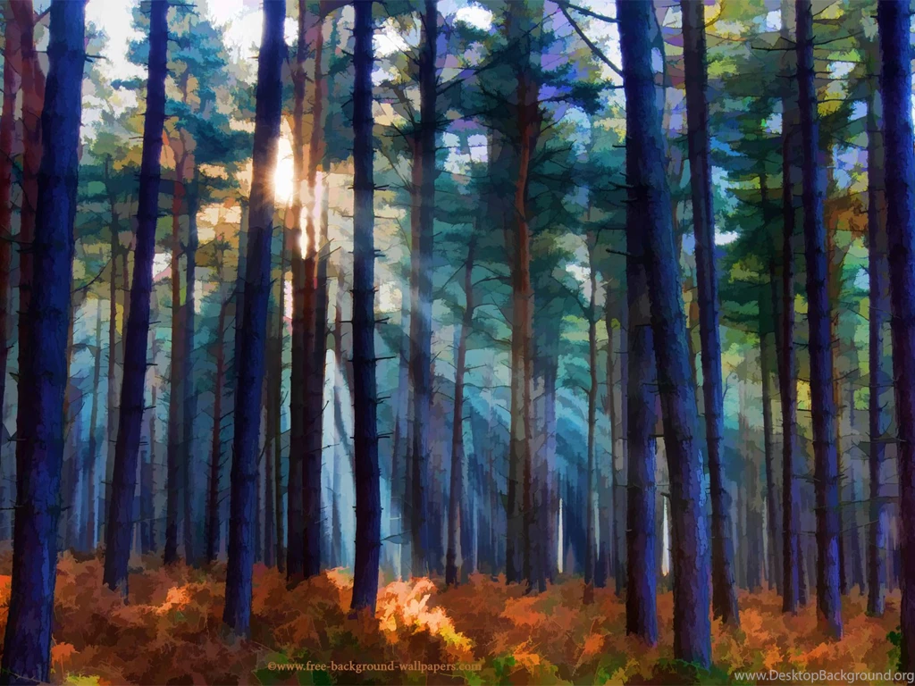 Sunbeams And Pines Artistic Desktop Wallpapers   1600x1200 Pixels