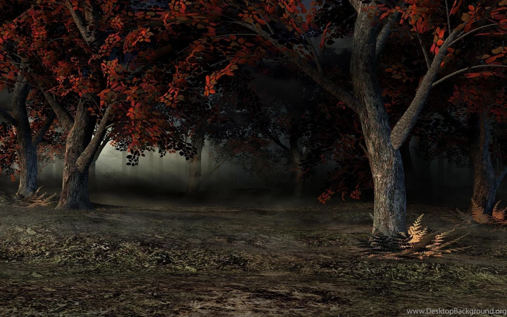 Picture Fantasy Nature Dimensi Trees High Resolutions Wallpapers ...