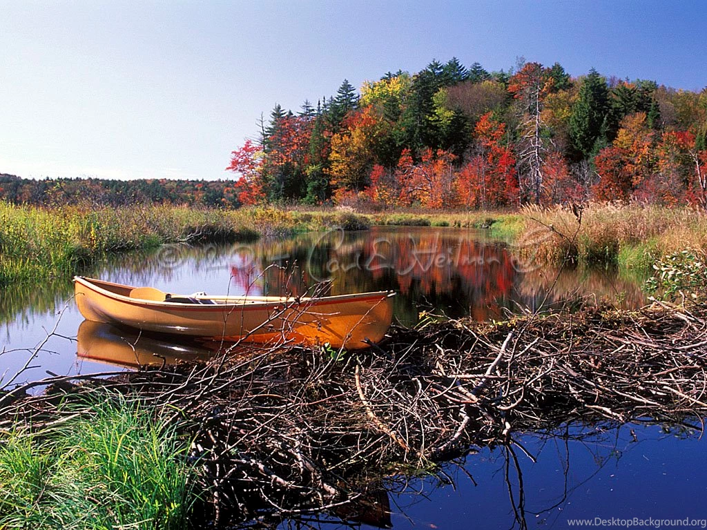 Adirondack Wallpaper, Niagara Falls, Wild New York Wallpapers ...