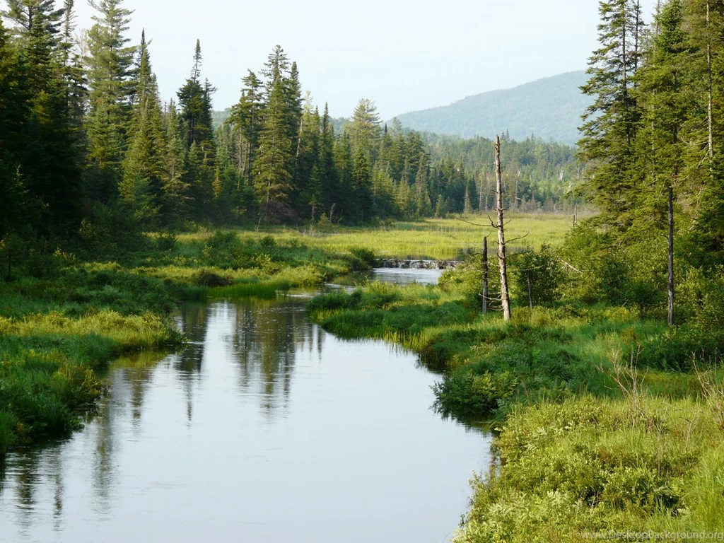 Adirondack Park For The Disabled
