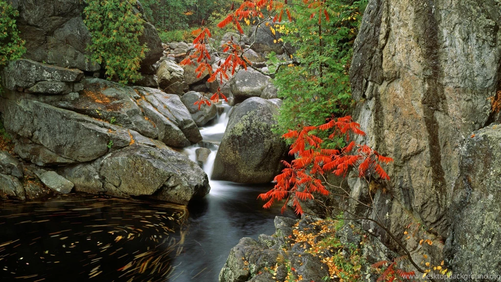 Park, Adirondack, Peaches, Desktopia, Wallpapers, River, Bouquet ...