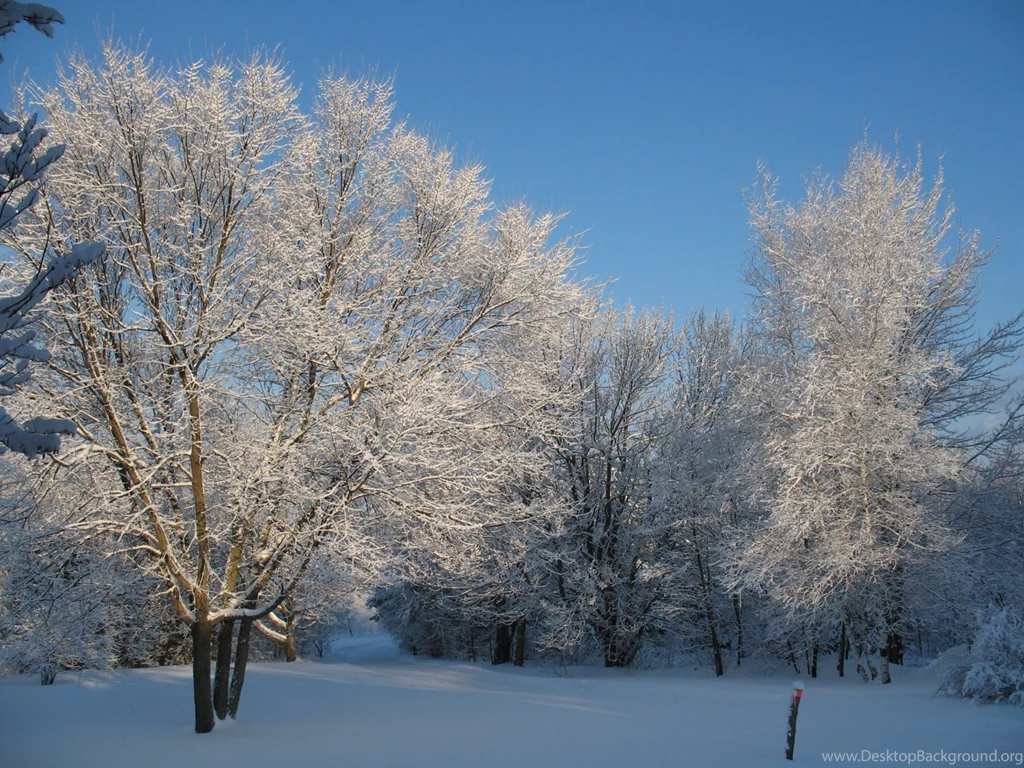 Cloudeight Free Desktop Wallpapers