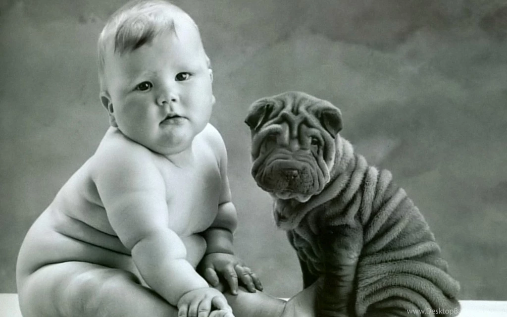 Baby And Puppy 1280x800 Wallpapers, 1280x800 Wallpapers & Pictures ...