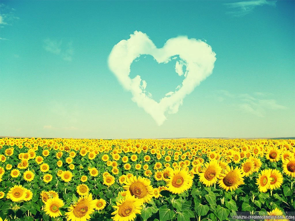 Sweetheart Wallpapers Wallpapers Zone