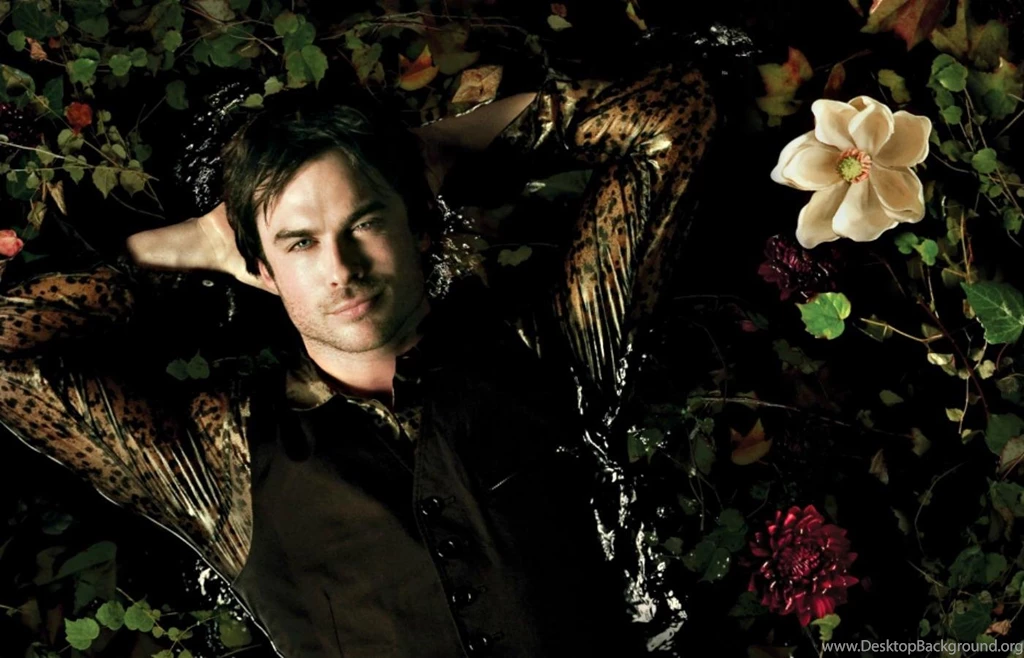 Ian Somerhalder As Damon   (