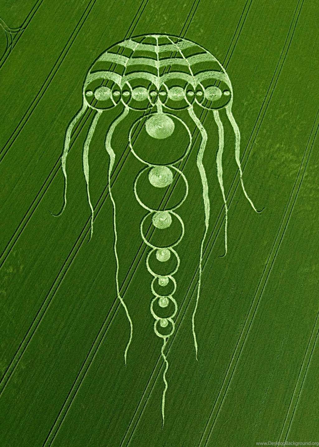Wallpapers Crop Circle