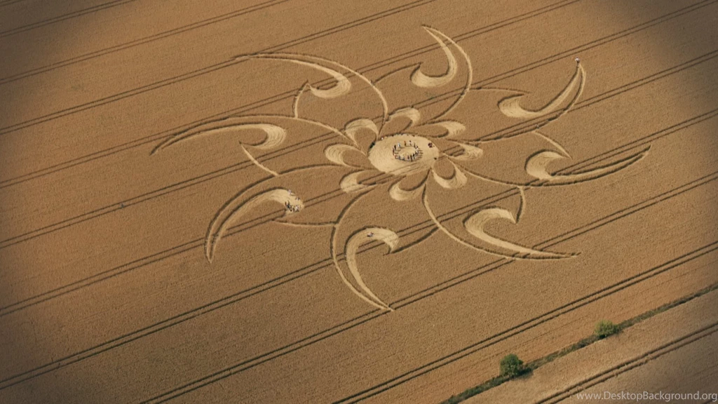 Crop Circle At Cherhill, Wiltshire, UK   7 August 2008