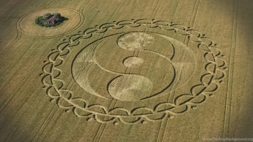 Crop Circle At Bishops Cannings, Wiltshire, UK 20 June 2008 ...