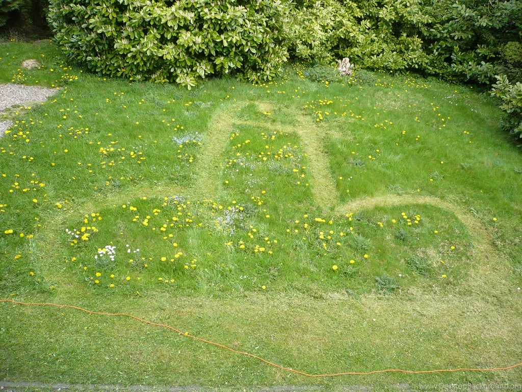 OT: Alien Crop Circle In My Garden!!!