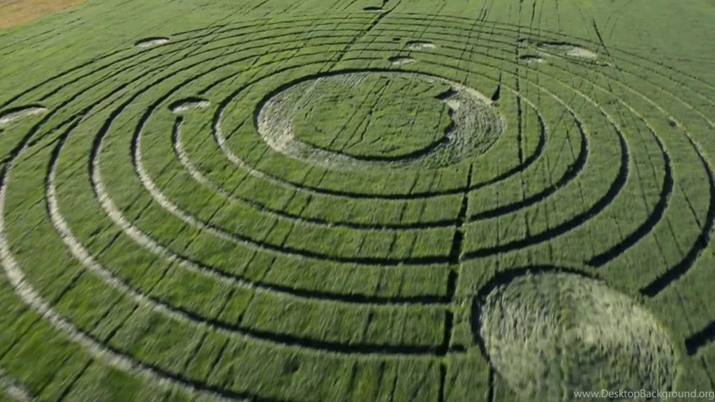 Hunter Valley, New South Wales, Australia 8 June 2014