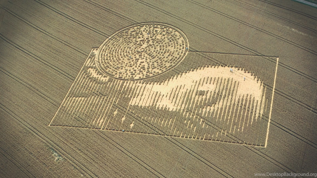 Crop Circle At CrabWood, Winchester, Hampshire, UK   15 August ...