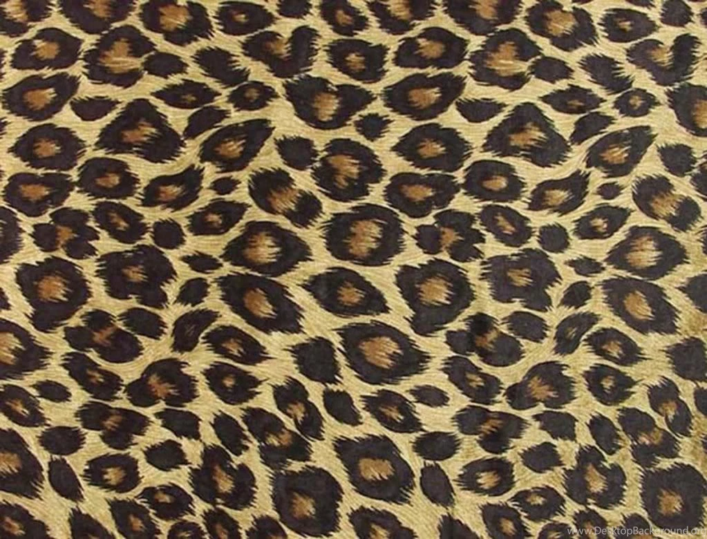 Cheetah Backgrounds Pictures   Wallpapers Cave
