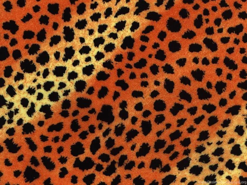 Cheetah Backgrounds Photo By MoniquesBOX
