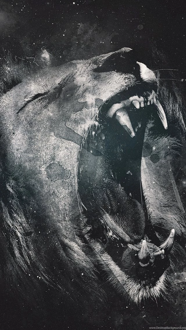 Roaring Lion iPhone 5 Wallpapers / IPod Wallpapers HD   Free Download