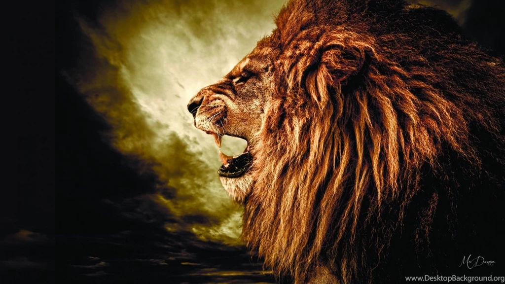 21+ Lion Wallpapers, Backgrounds, Images