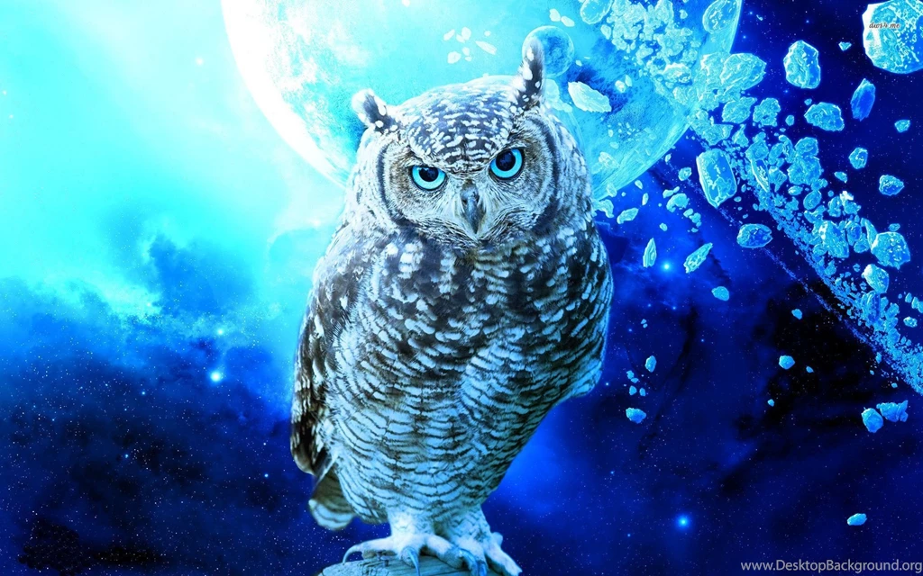 Owl In Space, Cosmos, Digital art, 1920x1200 HD Wallpapers And FREE ...