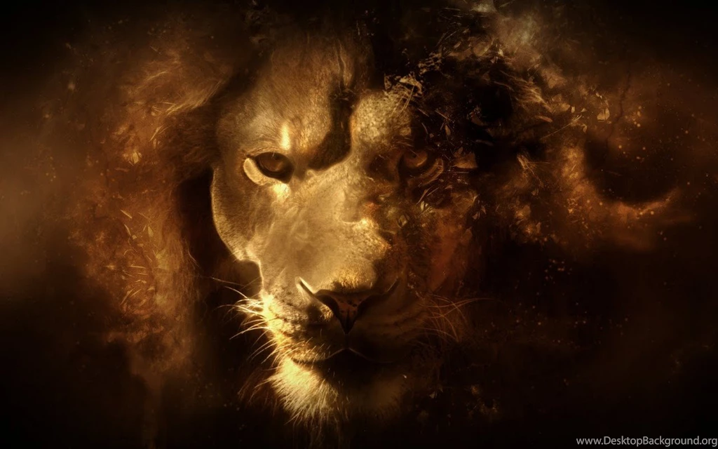 High Quality Lion Wallpapers