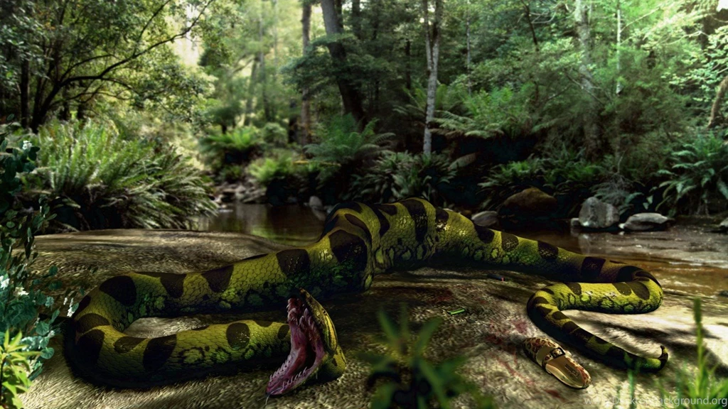 Reptiles: Mother Baby Water Croc Wallpapers HD For HD 16:9 High ...