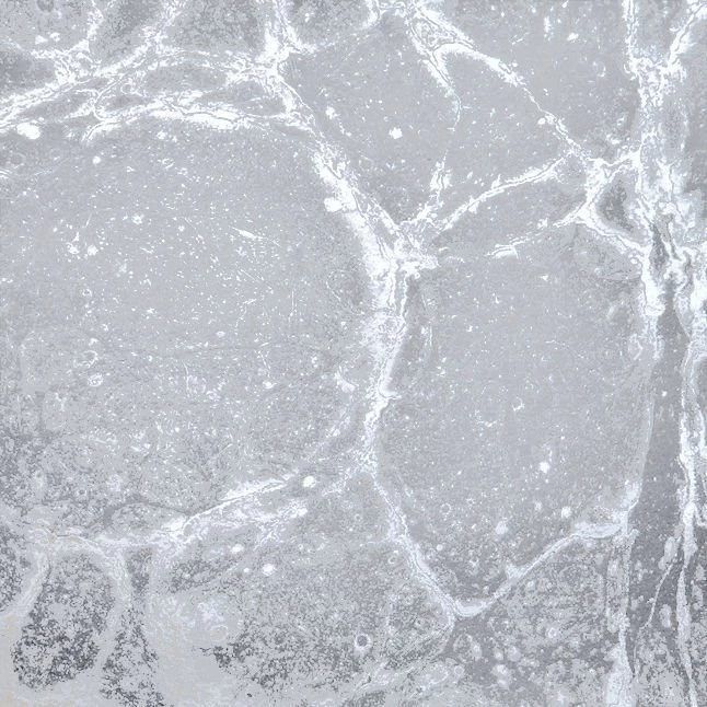 Paper Wallpapers / Contemporary / Patterned / Metallic LUNARIS ...