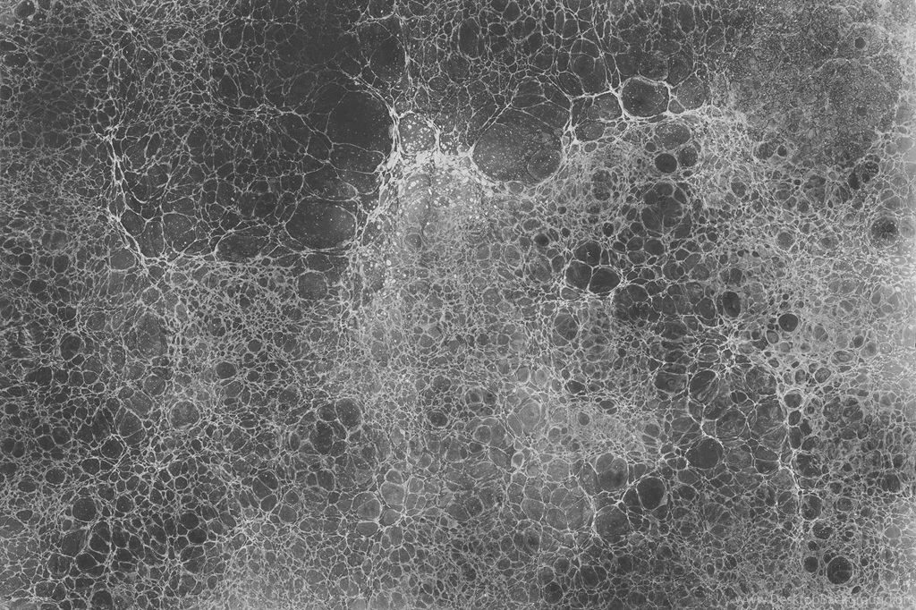 Paper Wallpapers / Contemporary / Patterned / Metallic   LUNARIS ...