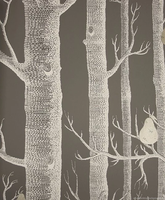 Woods And Pears Wallpapers Charcoal