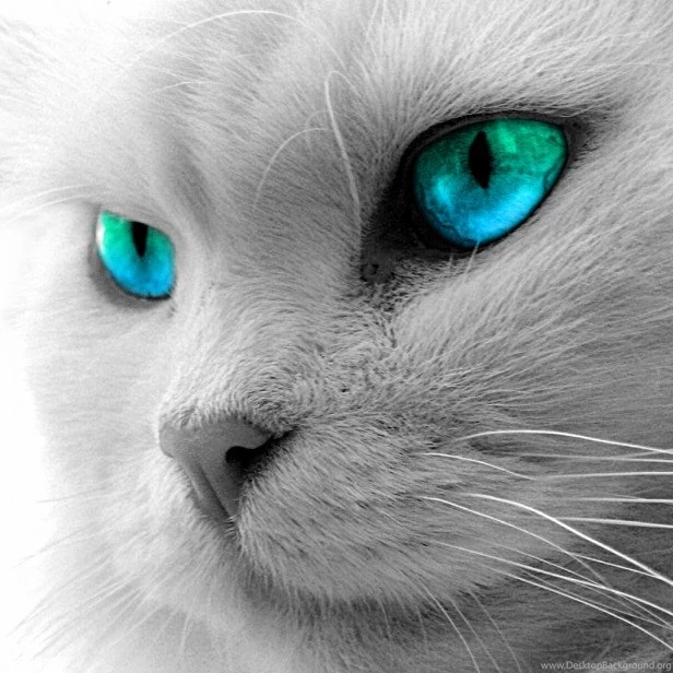 100+ Beautiful iPad 2 Wallpapers & iPad Backgrounds