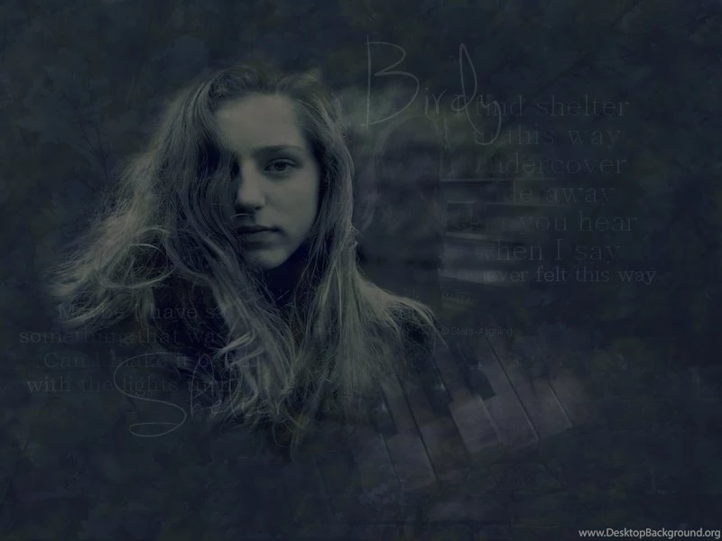 Birdy Blend : Desktop And Mobile Wallpapers : Wallippo