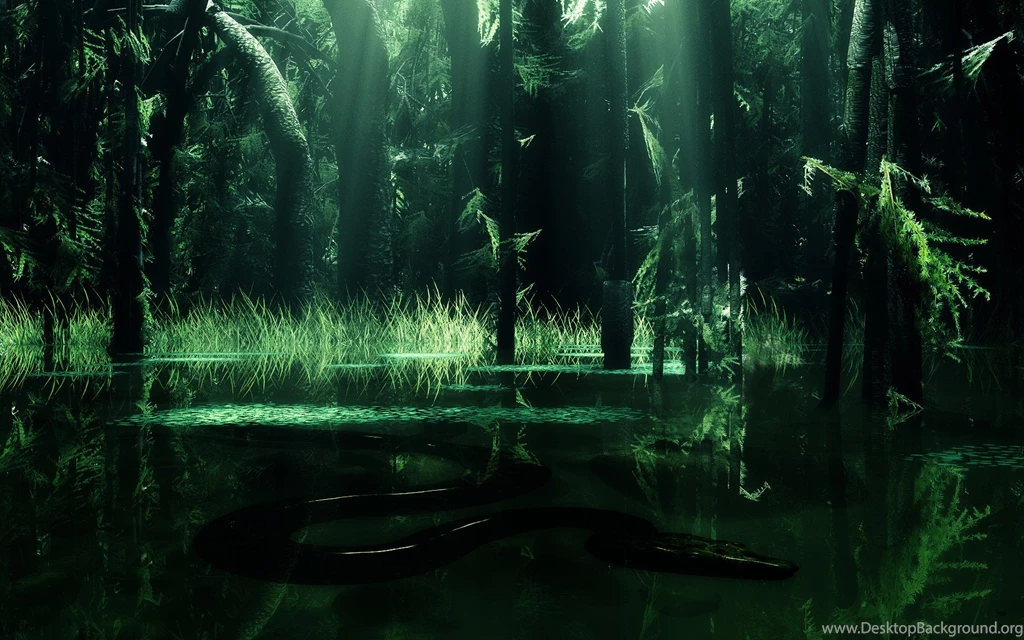 Nature Wallpapers 3D HD Nature