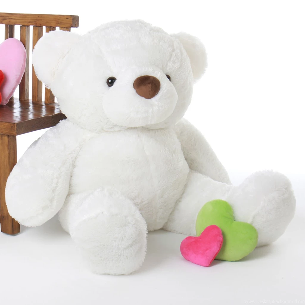 Teddy Bear Wallpapers HD Pictures