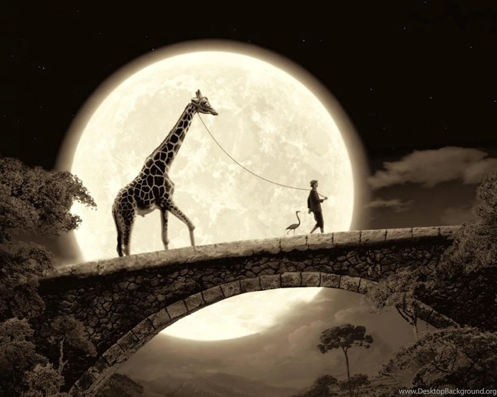 Walk, Moon, Sepia :: Wallpapers