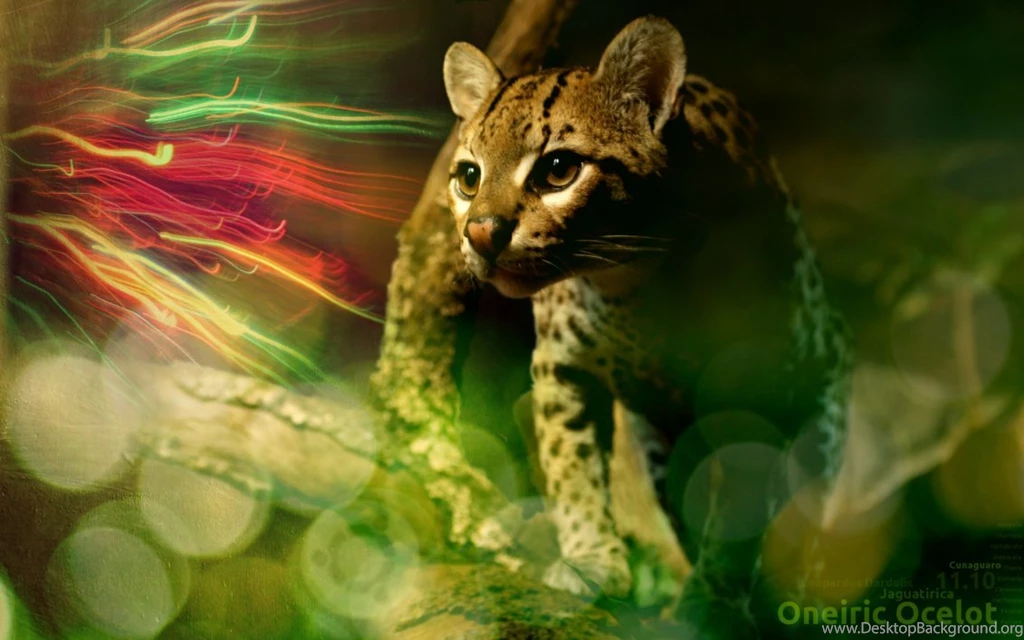 Ubuntu Ocelot Wallpapers By Hink Prod On DeviantArt